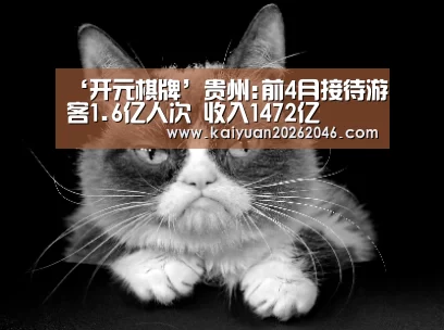 ‘开元棋牌’贵州:前4月接待游客1.6亿人次 收入1472亿(图3) 开元电竞