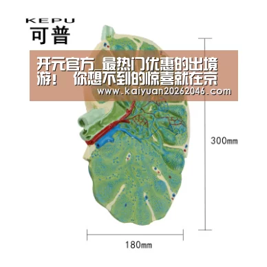 开元官方_最热门优惠的出境游! 你想不到的惊喜就在京东618!(图1) 开元官方