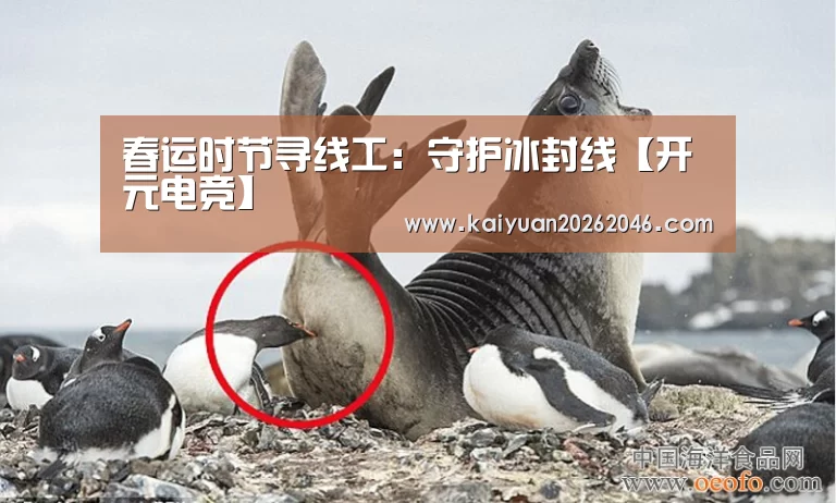 春运时节寻线工:守护冰封线【开元电竞】(图2) 开元官方