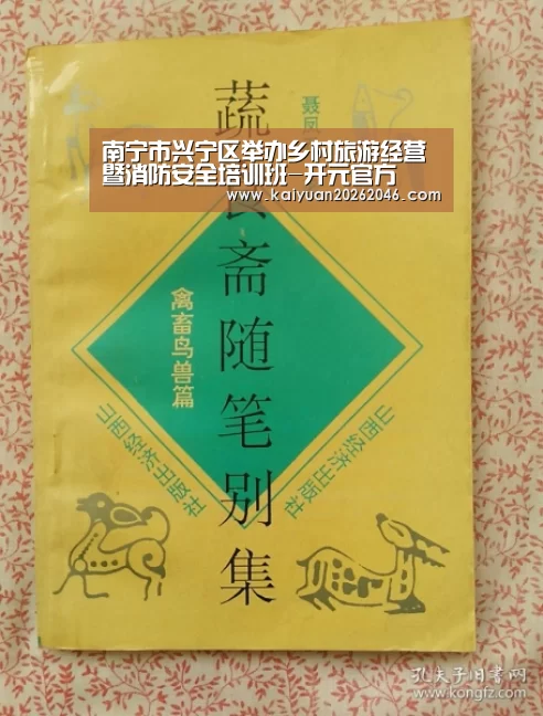 南宁市兴宁区举办乡村旅游经营暨消防安全培训班-开元官方(图4) 开元体育