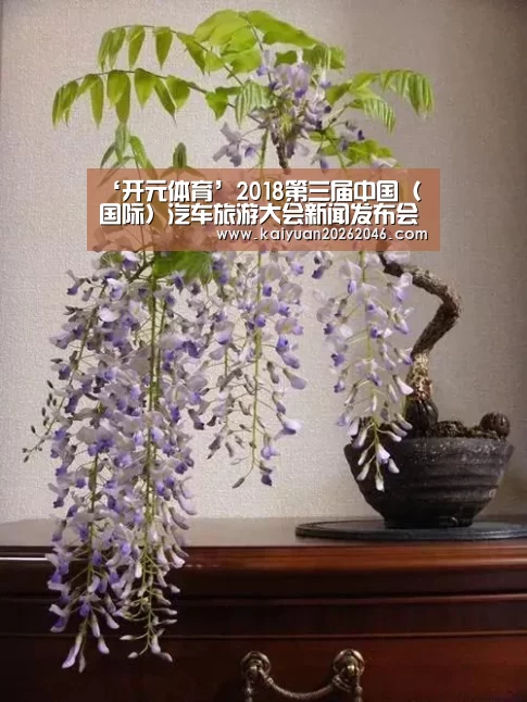‘开元体育’2018第三届中国(国际)汽车旅游大会新闻发布会在京举办(图1) 开元官方